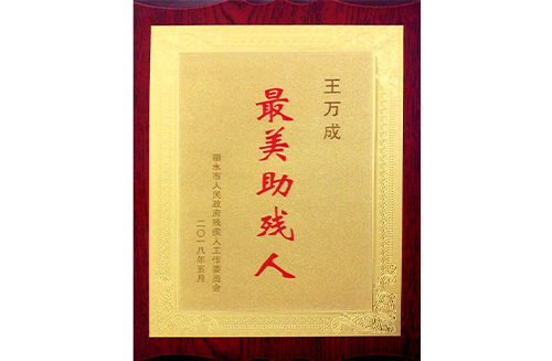 最美助残人